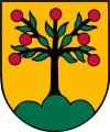 Logo Ortschaft Obersasbach